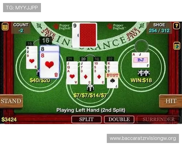 新手必看百家乐打法技巧详解让你轻松应对各种游戏局势